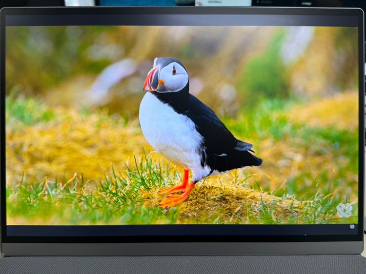 จอภาพ หน้าจอมอนิเตอร์แบบพกพา รุ่น U13ZT Touchscreen สินค้ามีตำหนิ Dead pixel 1  จุด