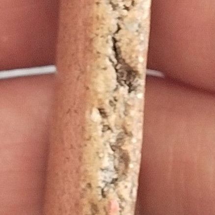 พระที่มี รูปที่ 6