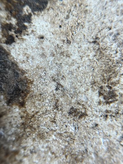 พระสมเด็จพิมพ์ใหญ่เนื้อเก่าเก่า รูปที่ 10