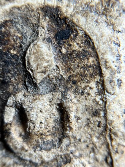 พระสมเด็จพิมพ์ใหญ่เนื้อเก่าเก่า รูปที่ 6