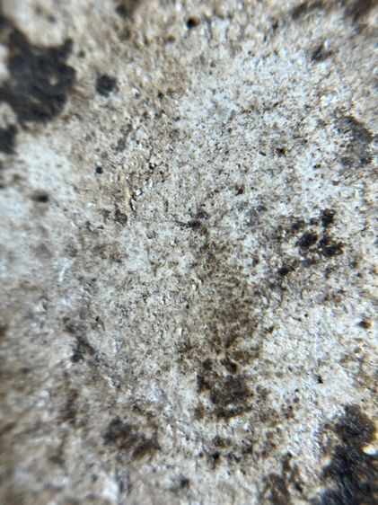 พระสมเด็จพิมพ์ใหญ่เนื้อเก่าเก่า รูปที่ 12