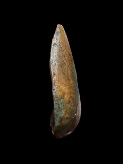 พระนางกําแพงกลีบบัว เนื้อดิน รูปที่ 4