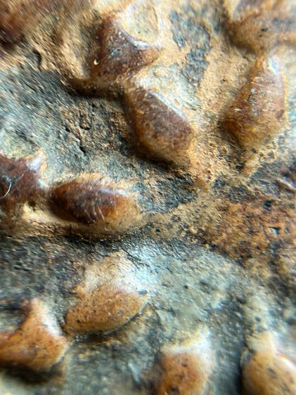 พระงบนํ้าอ้อย เนื้อดิน รูปที่ 10