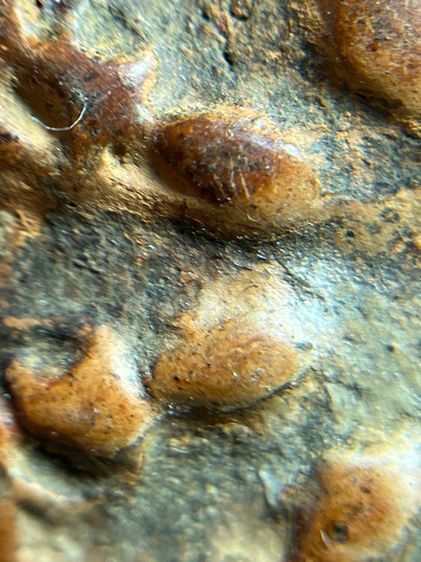 พระงบนํ้าอ้อย เนื้อดิน รูปที่ 8