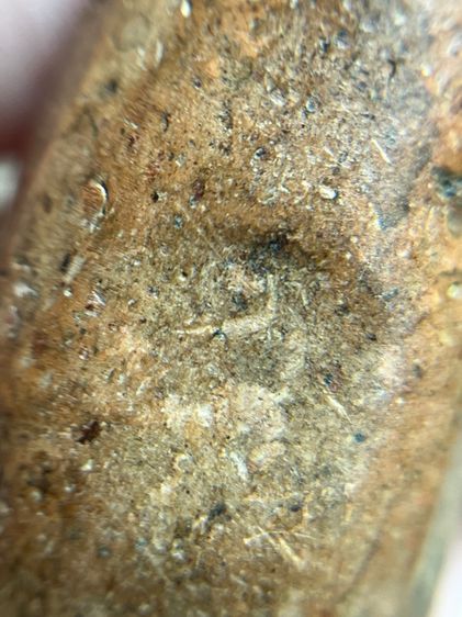 พระยืนปางเปิดโลก เนื้อดิน รูปที่ 11