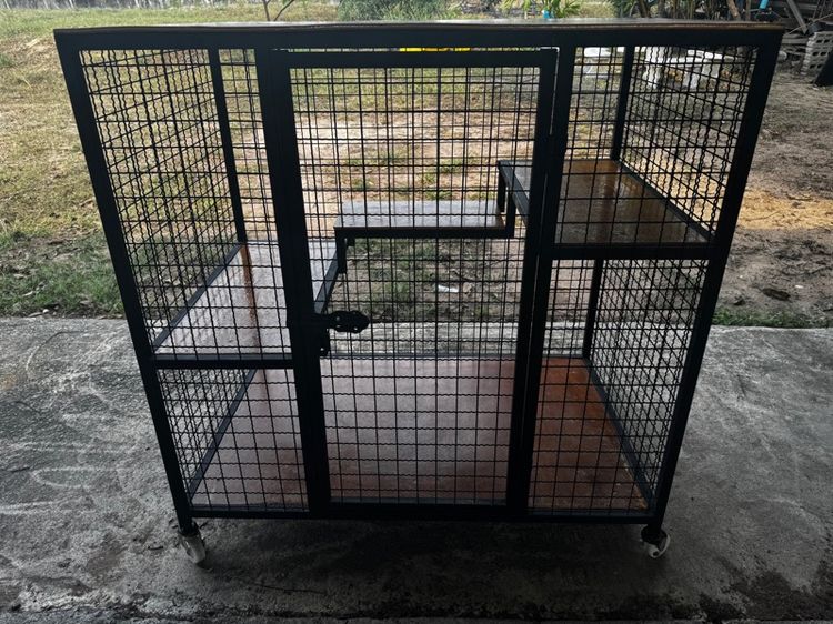 กรงแมว  รูปที่ 5