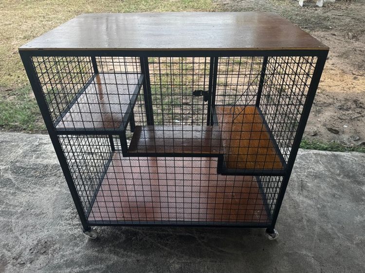 กรงแมว  รูปที่ 2