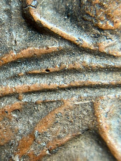 พระปทุมมาศ เนื้อดิน รูปที่ 6