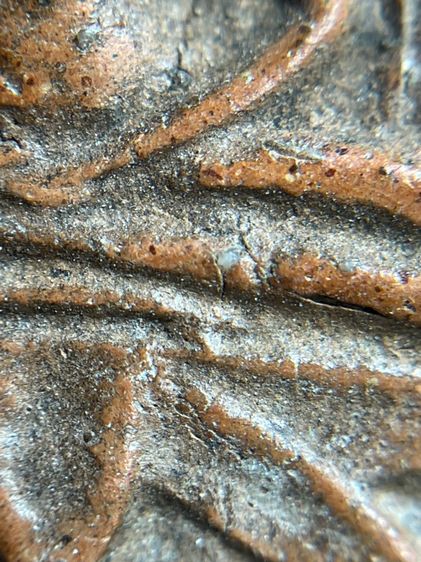 พระปทุมมาศ เนื้อดิน รูปที่ 7