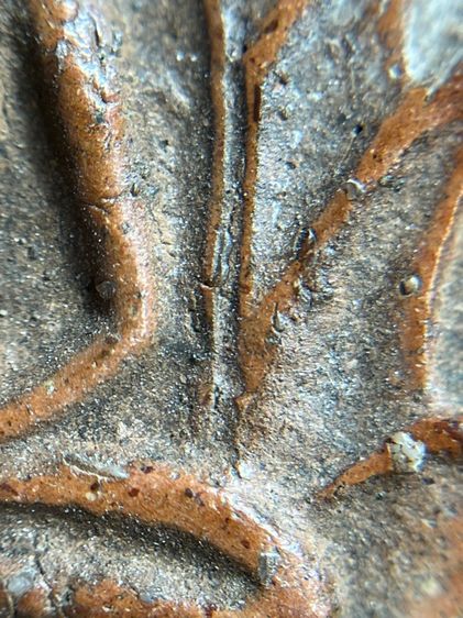 พระปทุมมาศ เนื้อดิน รูปที่ 8