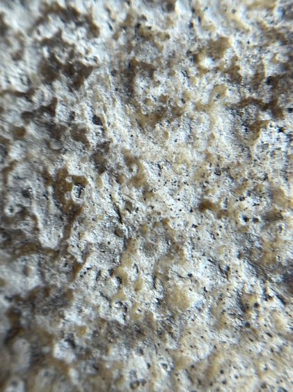 พระสมเด็จบางขุนพรหม พิมพ์สังฆาฏิ รูปที่ 11