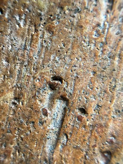 พระนาคปรกเนื้อดินเผา รูปที่ 15