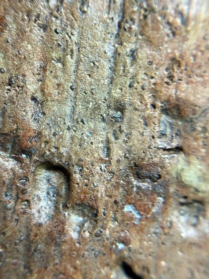 พระนาคปรกเนื้อดินเผา รูปที่ 12