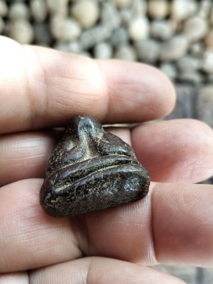 พระปิดตาวัดเครือวัลย์ รูปที่ 3