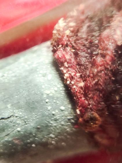 ตะกรุดหลวงปู่บุญวัดกลางบางแก้ว เนื้อตะกั่วน้ำนม มีจาร  รูปที่ 3