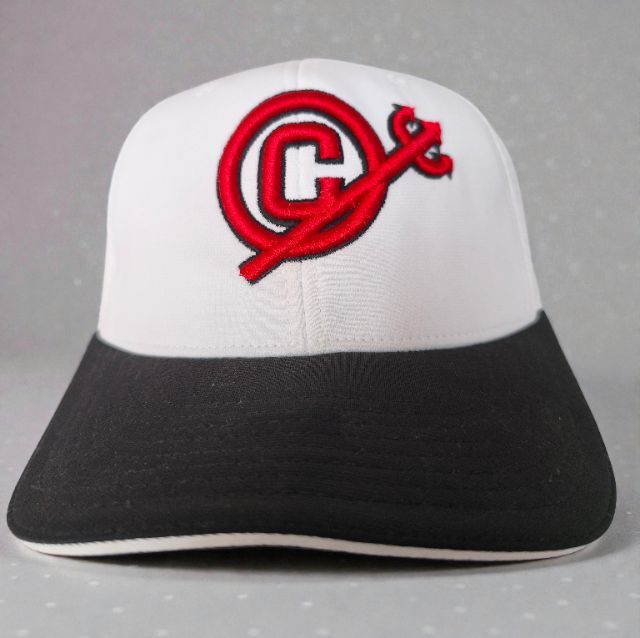 หมวกแก๊ป Richardon รูปที่ 4