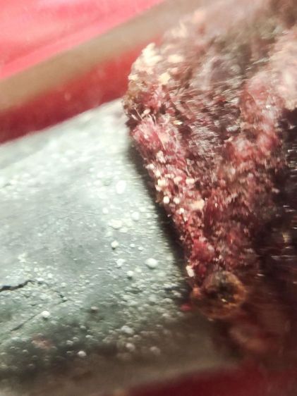 ตะกรุดหลวงปู่บญวัดกลางบางแก้ว เนื้อตะกั่วนํานม ไขขึ้นเป็นเม็ด เป็นเม็ดสีาว รูปที่ 7