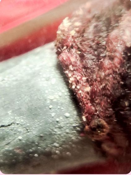 ตะกรุดหลวงปู่บญวัดกลางบางแก้ว เนื้อตะกั่วนํานม ไขขึ้นเป็นเม็ด เป็นเม็ดสีาว รูปที่ 3