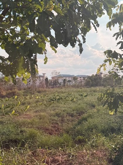 ขายถูก ที่ดิน 3 ไร่ 40 ตารางวา  รูปที่ 2