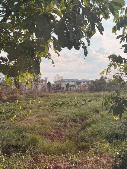 ขายถูก ที่ดิน 3 ไร่ 40 ตารางวา  รูปที่ 3