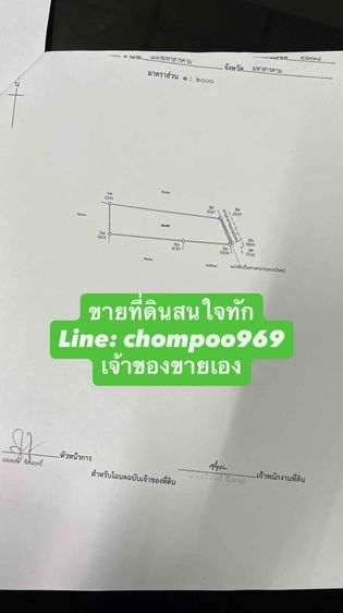 ขายถูก ที่ดิน 3 ไร่ 3 งาน 42 ตารางวา