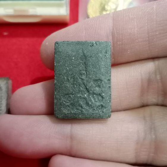 สาริกาป้อนเหยื่อ (นกกระจิบ) รูปที่ 2