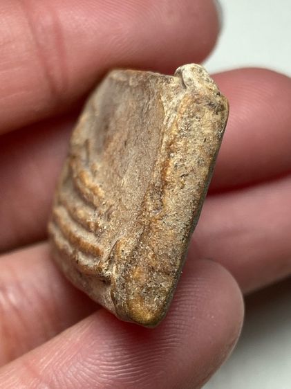 พระปางนอนเนื้อผง รูปที่ 4