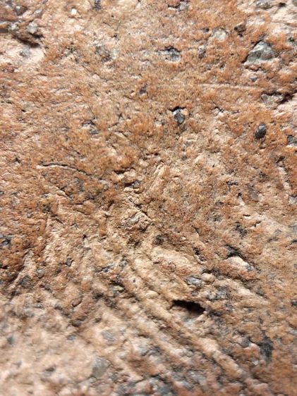 พระนางพญาพิษณุโลกครับ รูปที่ 11