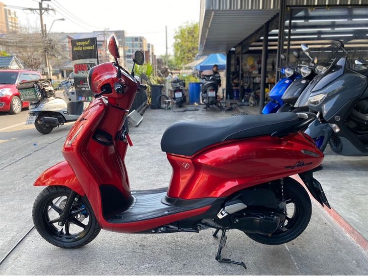 grand fila  รูปที่ 8