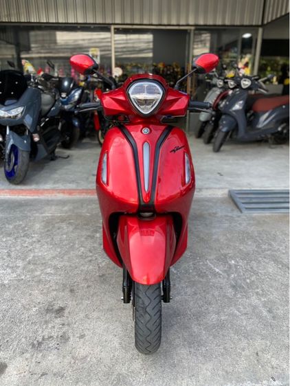 grand fila  รูปที่ 5