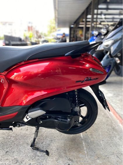 grand fila  รูปที่ 10