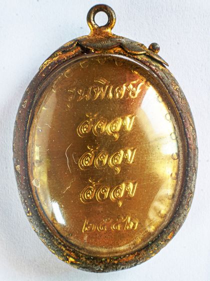 หลวงปู่สนธิ์ วัดอรัญญานาโพธิ์  ปี 2552 รูปที่ 2