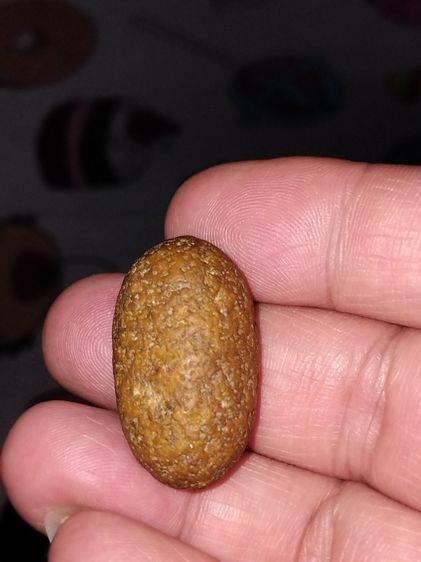 คตกล้วย ขนาดยาวรี ประมาณ 1 นิ้ว มีน้ำหนัก แข็ง สวย ผิวเดิม เป็นธรรมชาติ แท้ แปลก หายากมาก      คตกล้วยของทนสิทธ์มีฤทธิ์ในตัวเอง หรือ จะเรียก รูปที่ 2