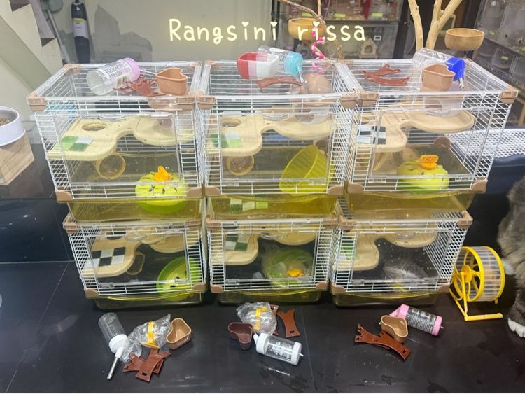 กรง คอกและประตู กรงหนูแฮมเตอร์ 