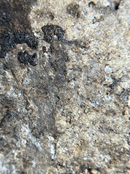 พระสมเด็จกรุวัดบางขุนพรหม พิมพ์อกครุฑ รูปที่ 11