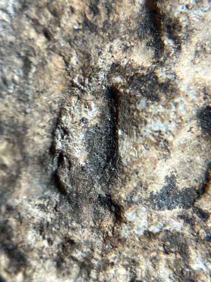 พระสมเด็จกรุวัดบางขุนพรหม พิมพ์อกครุฑ รูปที่ 6