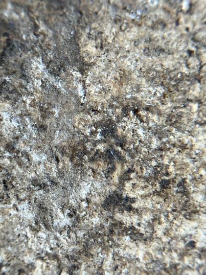 พระสมเด็จกรุวัดบางขุนพรหม พิมพ์อกครุฑ รูปที่ 12