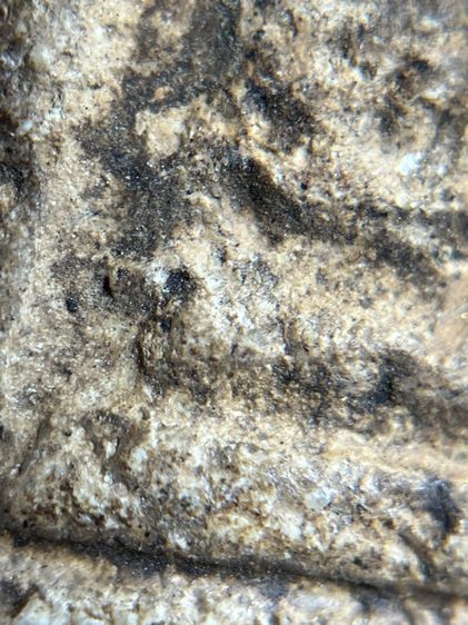 พระสมเด็จกรุวัดบางขุนพรหม พิมพ์อกครุฑ รูปที่ 5