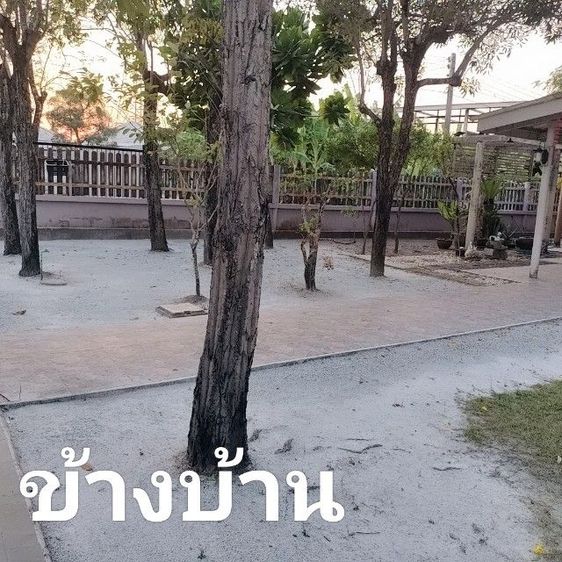 🎀เหมาโคตร✅เมืองชลบุรี 3ไร่48ตรว.โรงงานพร้อมบ้านสวนอย่างดี