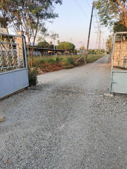 ใช่ 🎀เหมาโคตร✅เมืองชลบุรี 3ไร่48ตรว.โรงงานพร้อมบ้านสวนอย่างดี รูปที่ 4