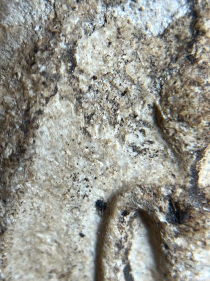 สมเด็จพิมพ์ใหญ่กรุบางขุนพรหมเก่าเก่าสวยสวย รูปที่ 9