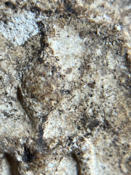 สมเด็จพิมพ์ใหญ่กรุบางขุนพรหมเก่าเก่าสวยสวย รูปที่ 8