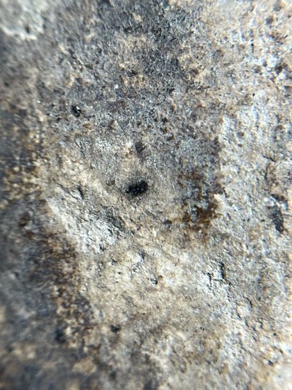 พระสมเด็จบางขุนพรหมพิมพ์ใหญ่กรุสวยสวย รูปที่ 11