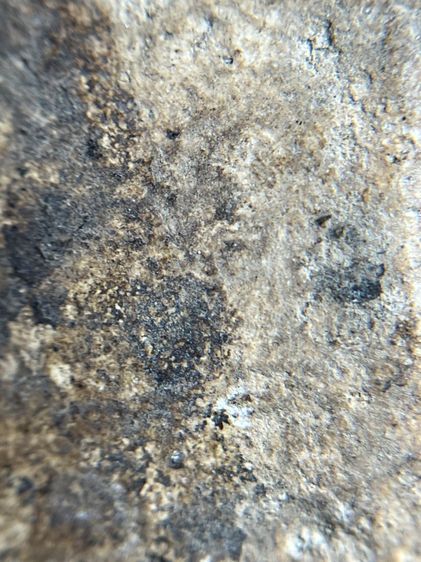 พระสมเด็จบางขุนพรหมพิมพ์ใหญ่กรุสวยสวย รูปที่ 10