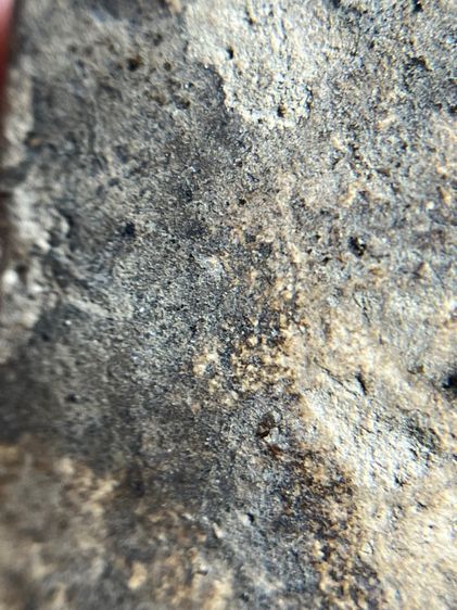 พระสมเด็จบางขุนพรหมพิมพ์ใหญ่กรุสวยสวย รูปที่ 12