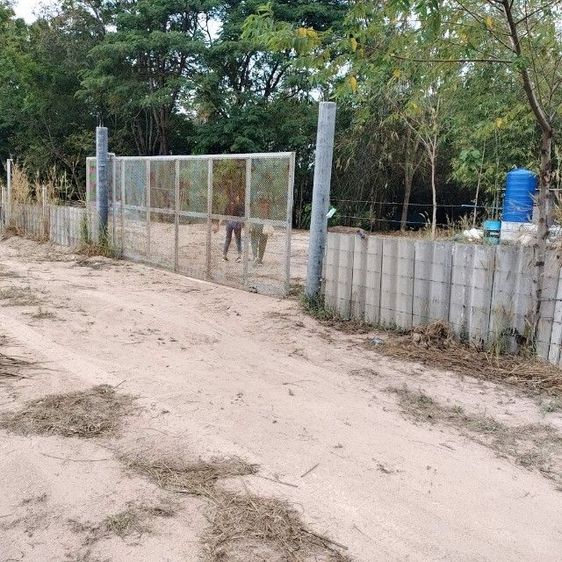 ใช่ ✅ถูกมาก 3.5ล.เท่านั้น 📌1ไร่ใกล้คันทรี่ปาร์คพัทยา📌ก่อน30เมษานีั🎀 ล้อมรั้วไว้แล้ว✅ร่มรื่นมีลำธารด้านหลัง รูปที่ 2