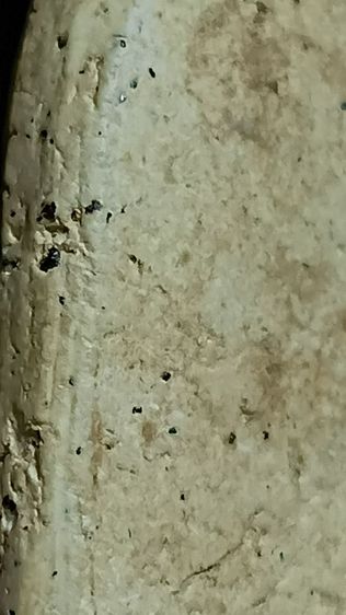 พระสมเด็จฐานสูงกรุวัดเงิน กทม  รูปที่ 10