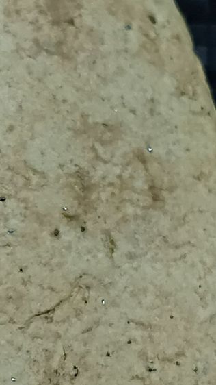 พระสมเด็จฐานสูงกรุวัดเงิน กทม  รูปที่ 8