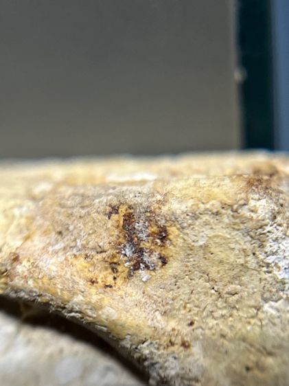 สมเด็จบางขุนพรหมกรุเก่า รูปที่ 9