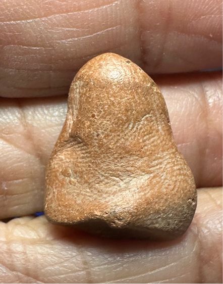 🙏 พระนางพิจิตร ข้างเม็ด🙏พระพิจิตร  กรุวัดพระศรีมหาธาตุ  เนื้อดิน พระกรุเนื้อดินผสมว่าน สุโขทัย 🙏พระกำแพงซุ้มกอพิมพ์ใหญ่ องค์ละ1850 รูปที่ 2